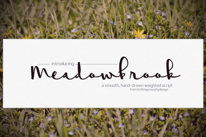 Meadowbrook Font poster