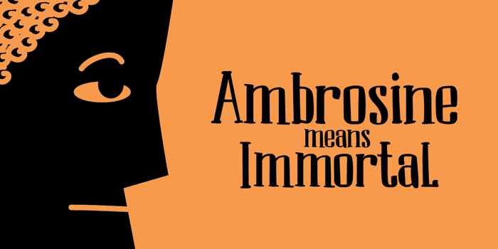 DK Ambrosine Font poster