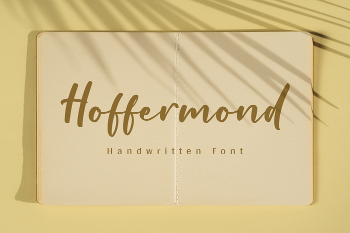 Hoffermond Font poster