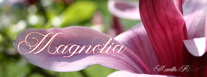 Magnolia Font poster