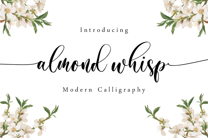 almond whisp Font poster