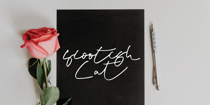 Scootish Font poster