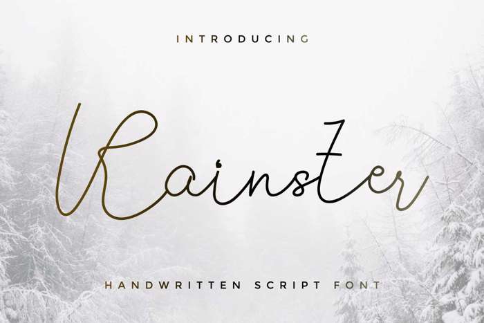 Rainster Font poster