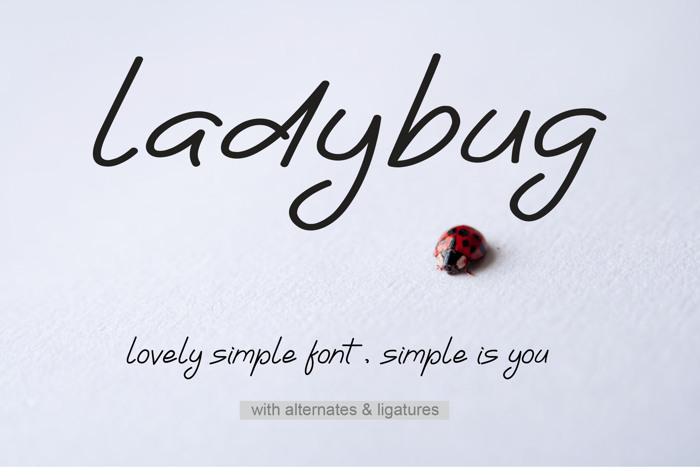 Ladybug Font poster