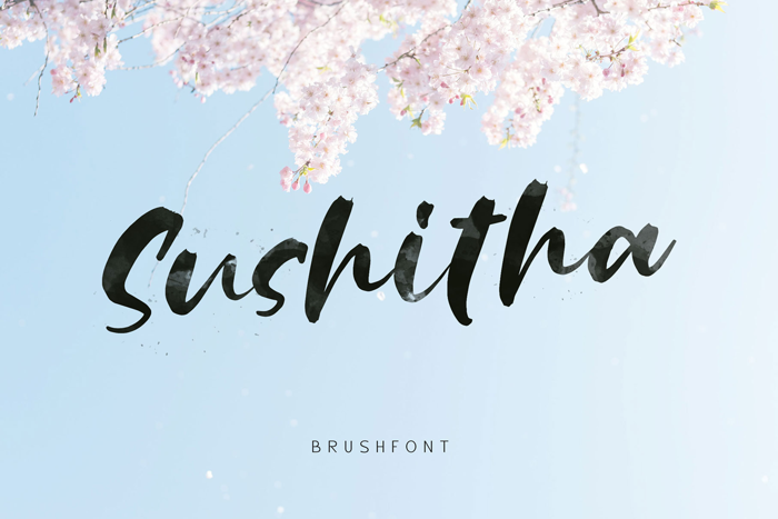 Sushitha Font poster