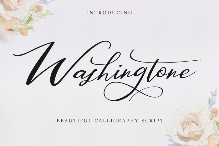 Washingtone Font poster