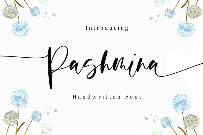 Pashmina Font poster
