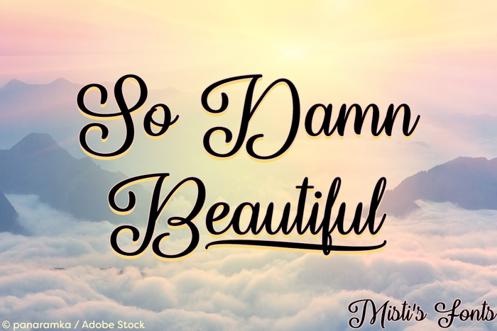 So Damn Beautiful Font poster