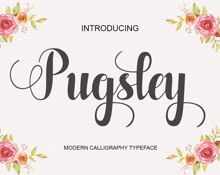 Pugsley Font poster