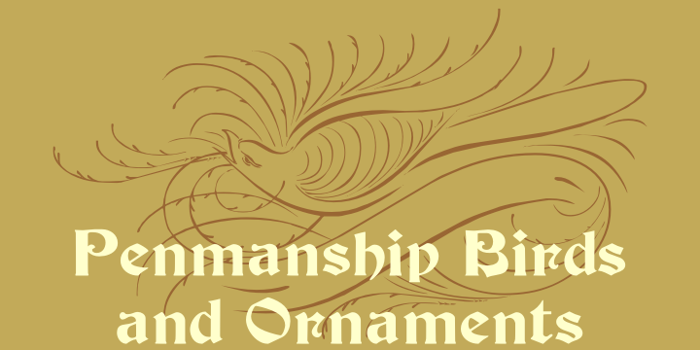 Penmanship Birds and Ornaments Font poster
