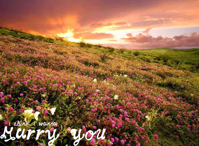 MarryYou Font poster
