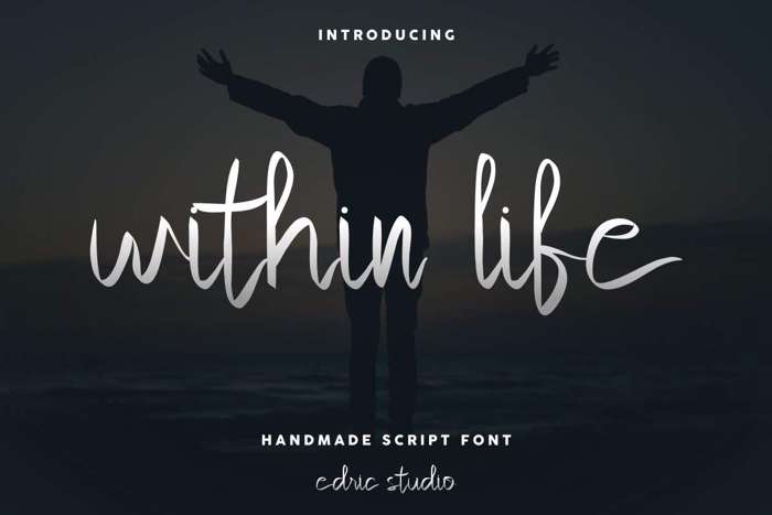 Within Life Font poster