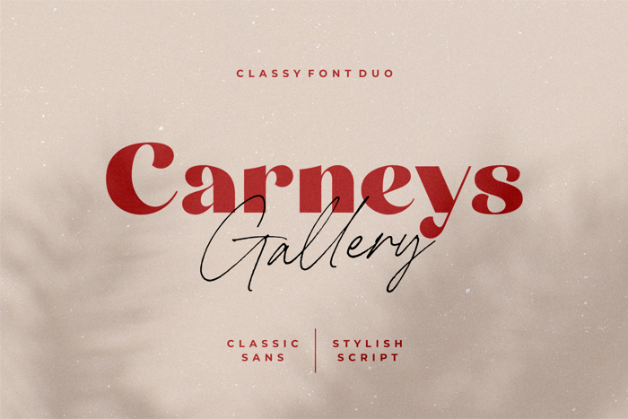 Carneys Gallery Font poster