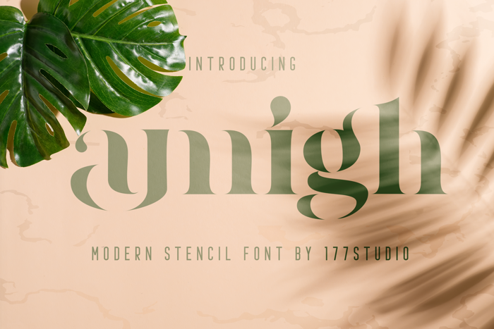 amigh Font poster