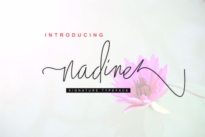 Nadine Font