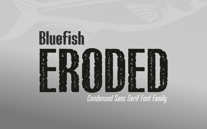 Bluefish_ERODED DEMO Font poster