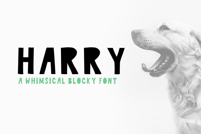 Harry Font poster