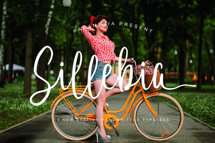 Sillebia Font poster