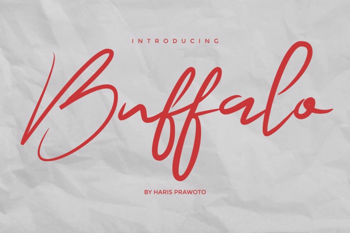 Buffalo Signature Font poster