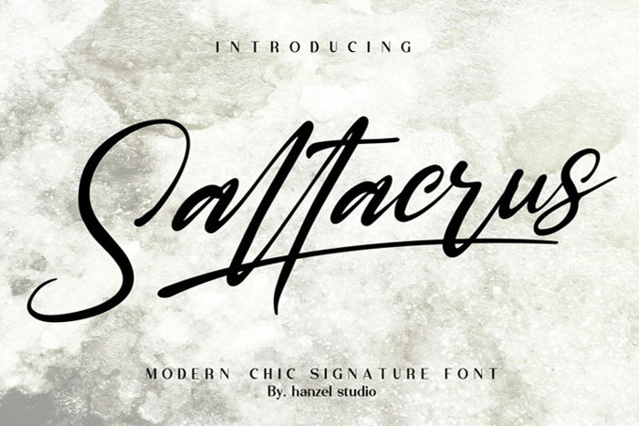 Saltacrus Font poster