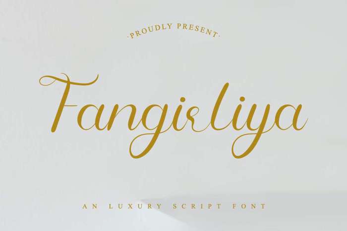 Fangirliya Font poster
