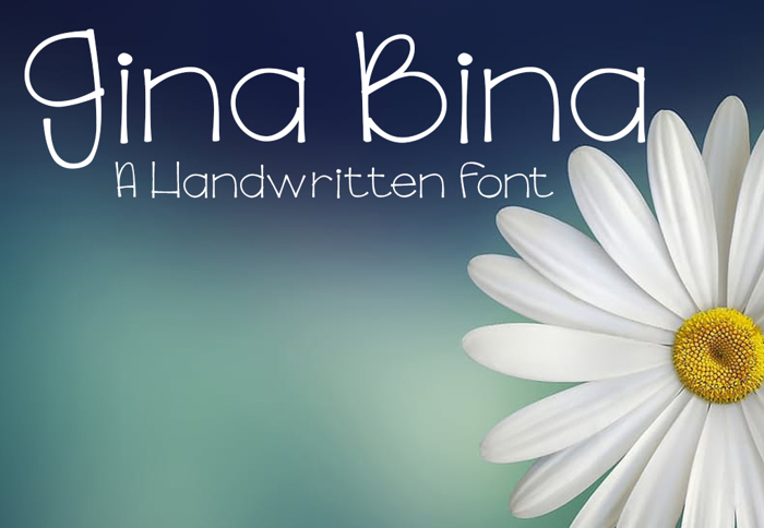 GinaBinaRegular Font poster