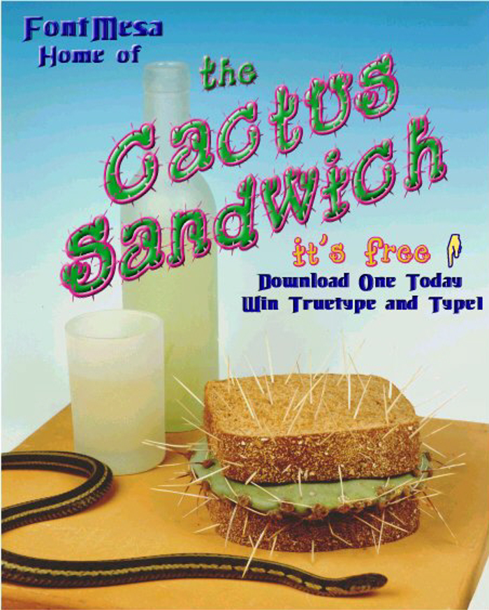 Cactus Sandwich Font poster