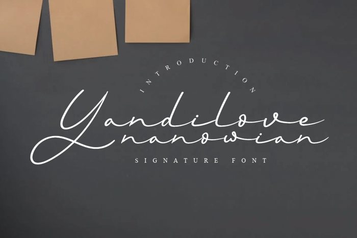 Yandilove Font poster