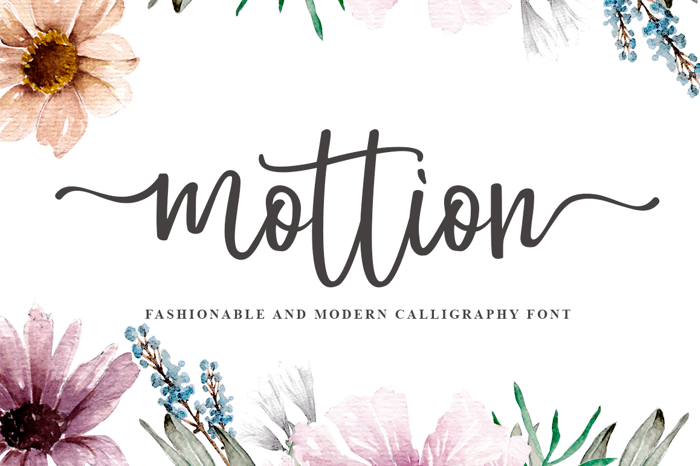 mottion Font poster