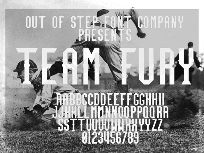 Team Fury poster