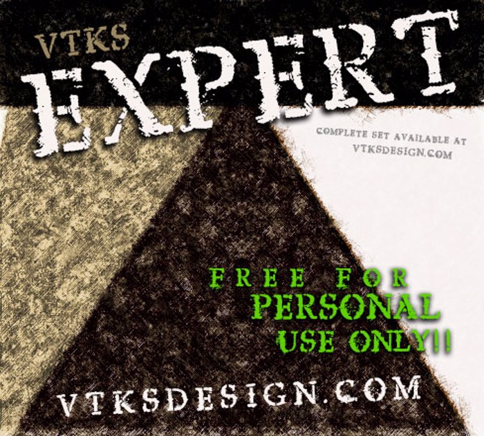 vtks expert Font poster
