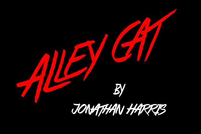 Alley Cat Font poster