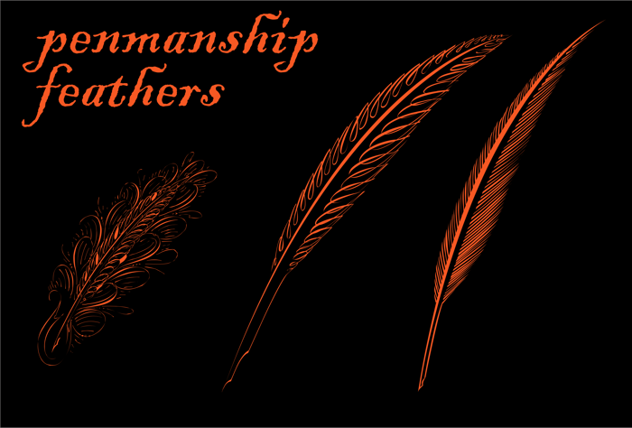 Penmanship Feathers Font poster