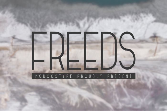 Freeds Font poster