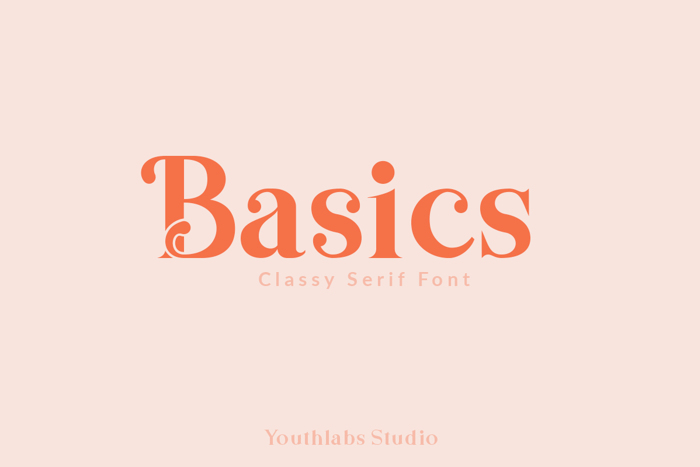 Basics Serif Font poster
