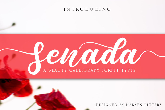 Senada Font poster