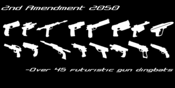 2nd Amendment 2050 Font poster