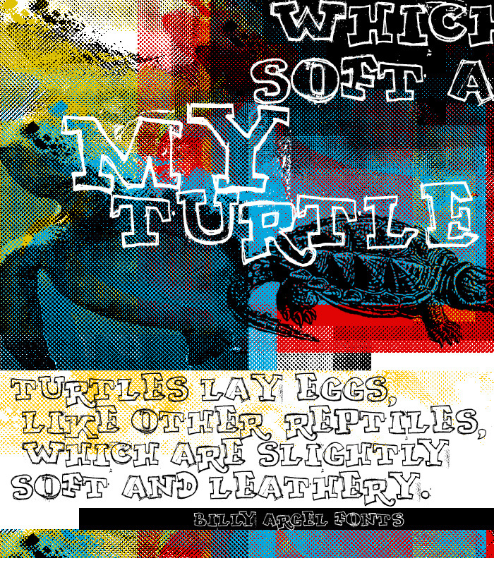 MY TURTLE Font poster