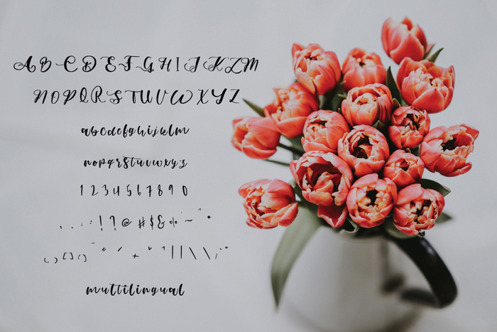 Abimanyu Font poster