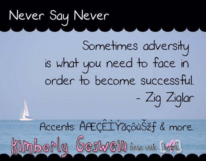 Never Say Never Font poster