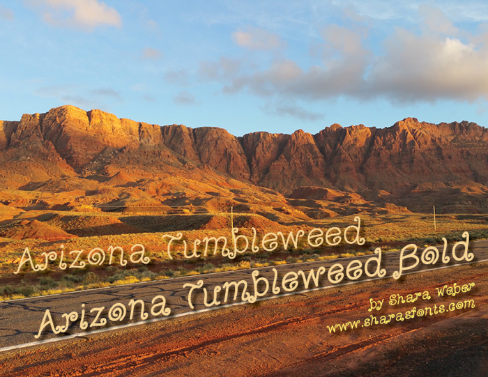 Arizona Tumbleweed Font poster