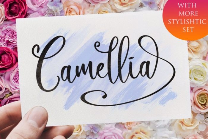 Camellia Font poster