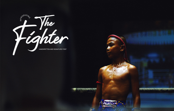 The Fighter Font poster