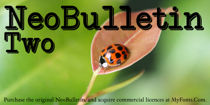NeoBulletin Two Font poster