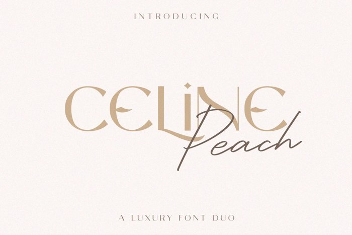 Celine Peach Script Font poster