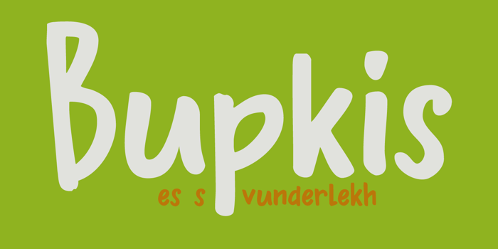 DK Bupkis Font poster