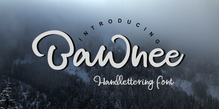Bawnee Font poster