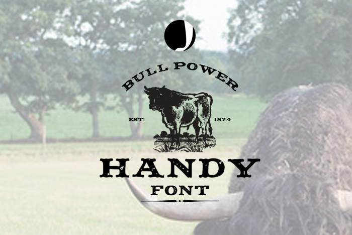 Handy Font poster