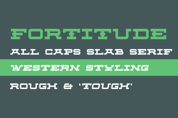 Fortitude Font poster