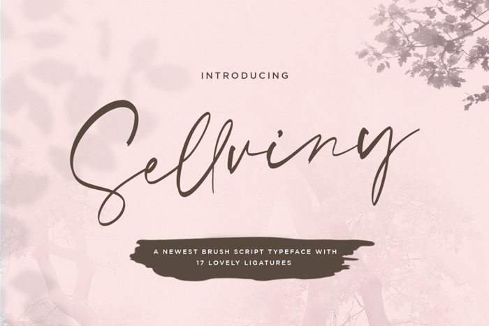 Sellviny Font poster